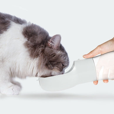 "Adventure Freely with Your Happy, Hydrated Pet!"